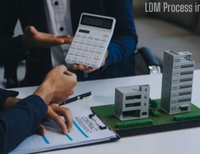 LDM Process in Real Estate